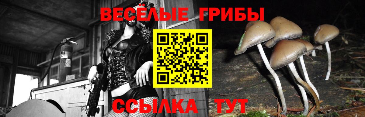 Галлюциногенные грибы мицелий Канск